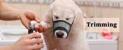 Dog Muzzle, Soft Mesh Muzzles for Small Medium Large Dogs Chihuahua Poodle Husky Labrador Retriever, Breathable Dog Mouth Guard for Biting Chewing Grooming, Allow Panting Drinking, Easy to Use