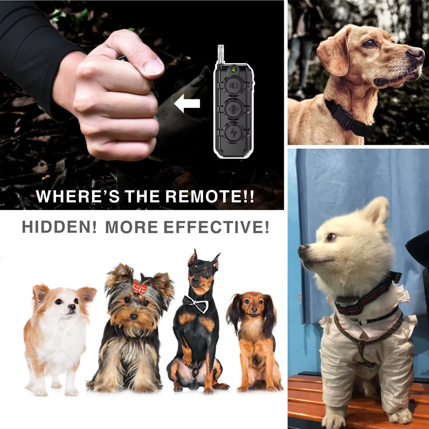 Rechargeable Anti-Bark Dog Training Collar, Waterproof, Remote Control, Pet Product, Puppy, Small Dog, 400M.