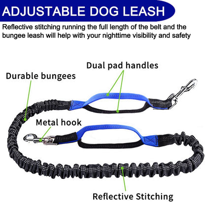 Hands Free Dog Leash with Zipper Pouch, Dual Padded Handles and Professional Retractable Bungee Dog Leash for Walking Jogging, Adjustable Waist Belt for Medium to Large Dog (Blue).