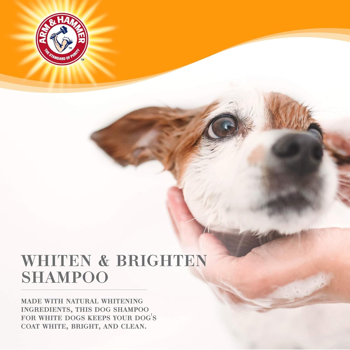 Ultra Fresh Whitening and Brightening Dog Shampoo | Baking Soda Neutralizes Bad Odors | Pet Shampoo in Calming Lavender and Vanilla Scent, 16 Fl Oz