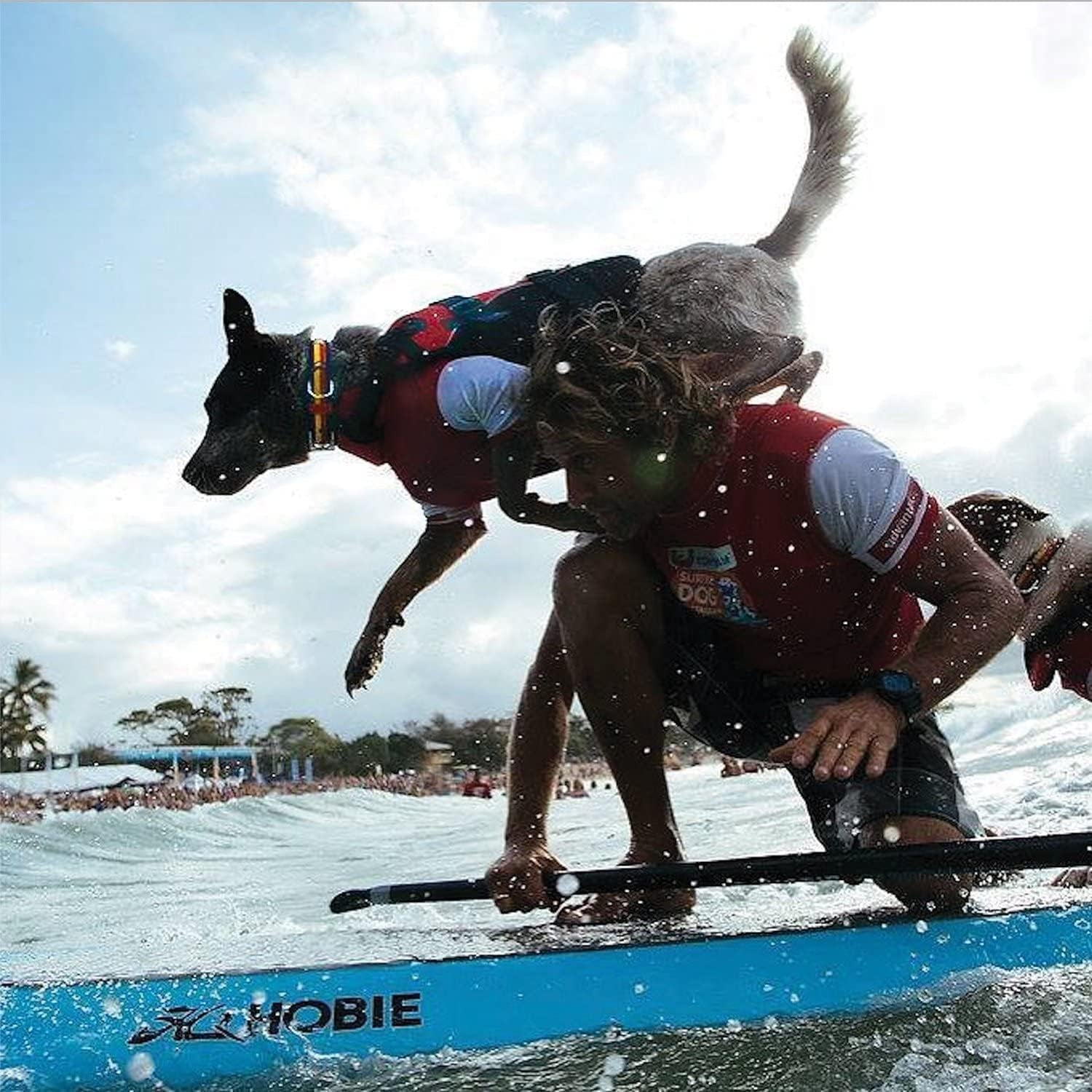 DFD Dog Life Jacket - Adjustable Swimming Safety Vest with Reflective Trim & Durable Grab Handle - 50% More Flotation Material - X-Small, Red.