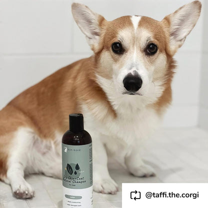 Dog Shampoo for Dry, Itchy Skin and Coat Relief - Safe, Natural Formula with Olive Oil, Coconut Oil, Cedarwood - Made in the USA - Dog Grooming, Puppy Supplies, and Dog Accessories(12 Fl Oz)