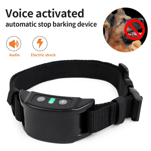 Dog Training Collar