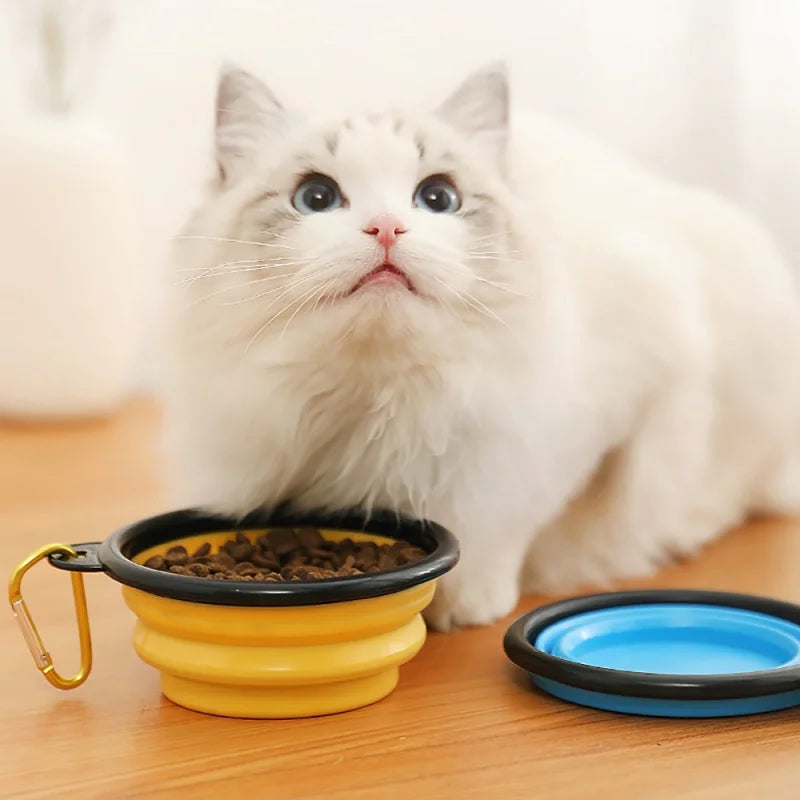 New 350ml Folding Bowl With Keychain Pet Bowl Portable Travel Dog Bowl Convenient Cat bowl Non-deformable Folding Bowl.