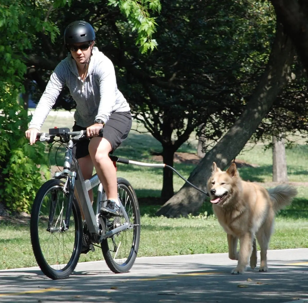 Bicycle Walking Dog Leash