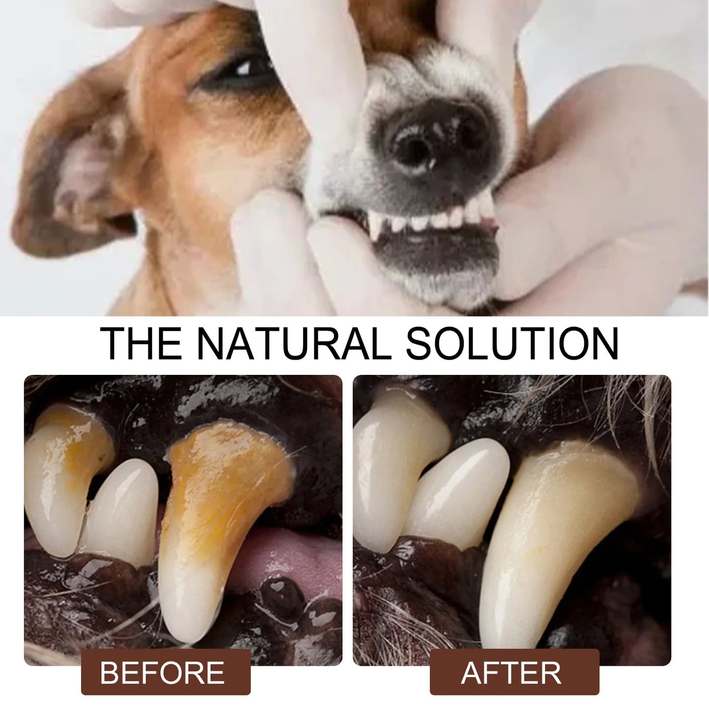 Pet Oral Care Spray Teeth Cleanse Tartar Removal Dental Care Deodorization Remove Bad Breath Freshener Dog Mouth Cleaning Liquid.