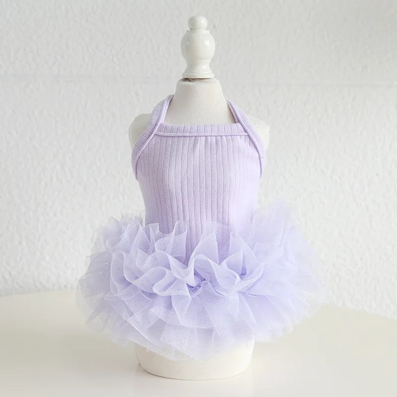 Ballet Skirt