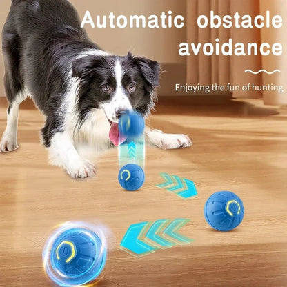 Automatic Moving Bouncing Ball