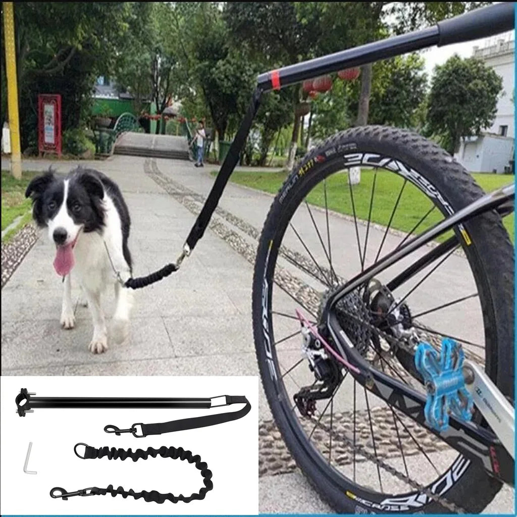 Bicycle Walking Dog Leash