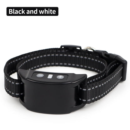 Dog Training Collar