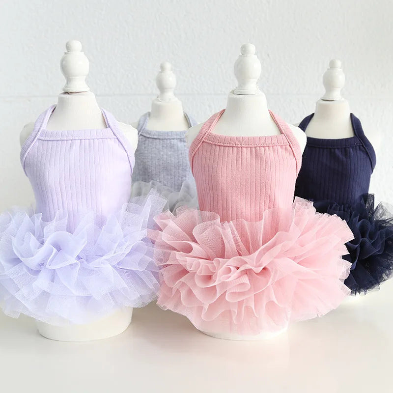 Ballet Skirt