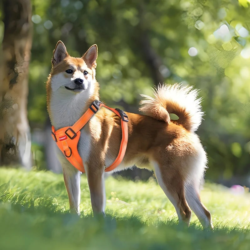 Adjustable Soft Padded Harness