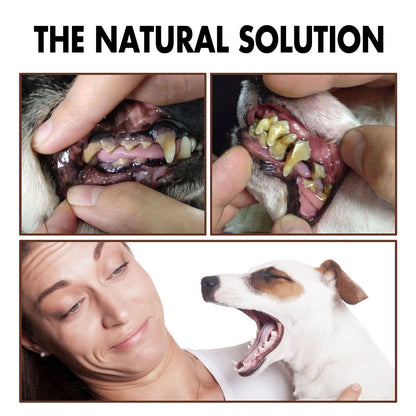 Pet Oral Care Spray Teeth Cleanse Tartar Removal Dental Care Deodorization Remove Bad Breath Freshener Dog Mouth Cleaning Liquid.