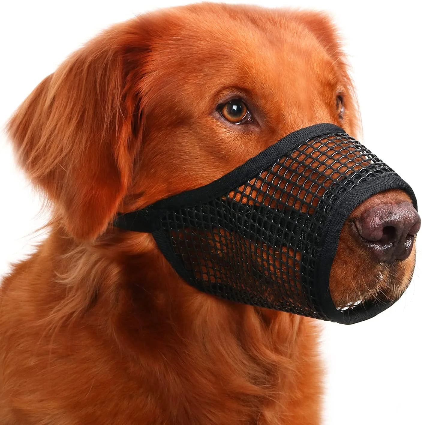 Dog Muzzle, Soft Mesh Muzzles for Small Medium Large Dogs Chihuahua Poodle Husky Labrador Retriever, Breathable Dog Mouth Guard for Biting Chewing Grooming, Allow Panting Drinking, Easy to Use