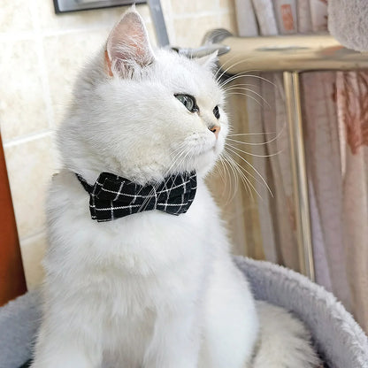 Breakaway Cat Collar with Bow Tie and Bell for Small Med Cat (Black).